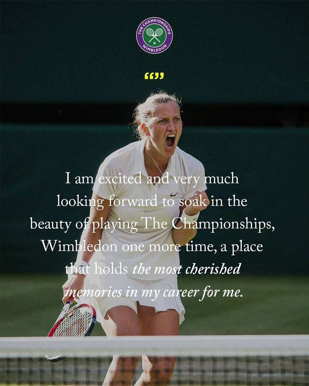 科维托娃在勇士比赛中问鼎冠军，回归赛场引发热议！的简单介绍-官方网站